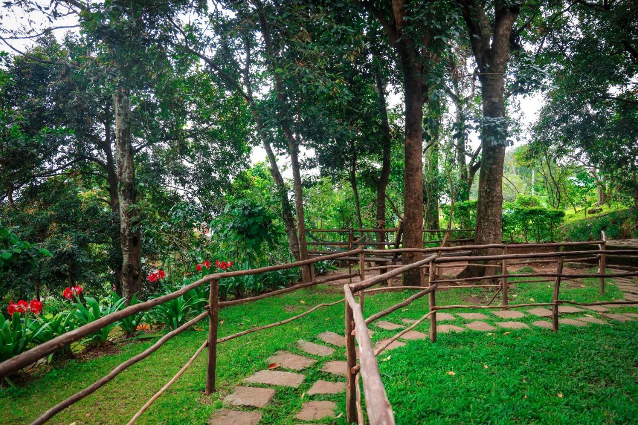 Golden Fern Resort Kanthalloor Ngoại thất bức ảnh